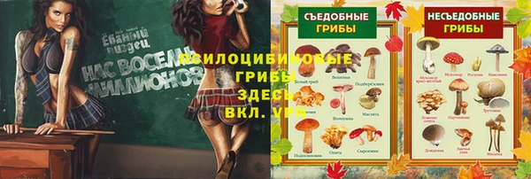 спайс Покров