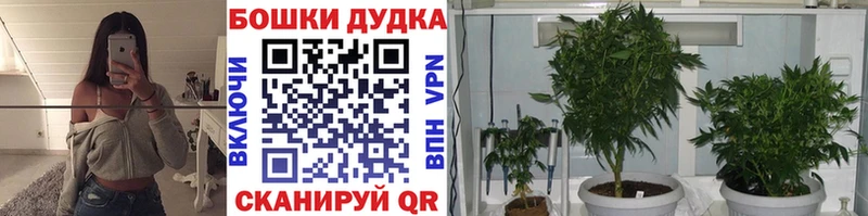 купить закладку  Андреаполь  Бошки марихуана Ganja 